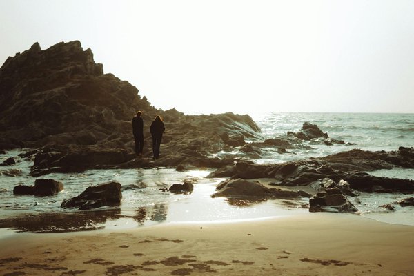 Discover Somerset's Secret Delights: The Complete Guide to Top Local Ciders and Flavors